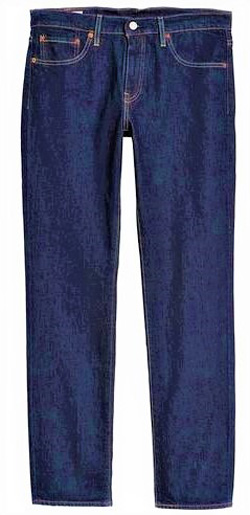 Denim Pant 38